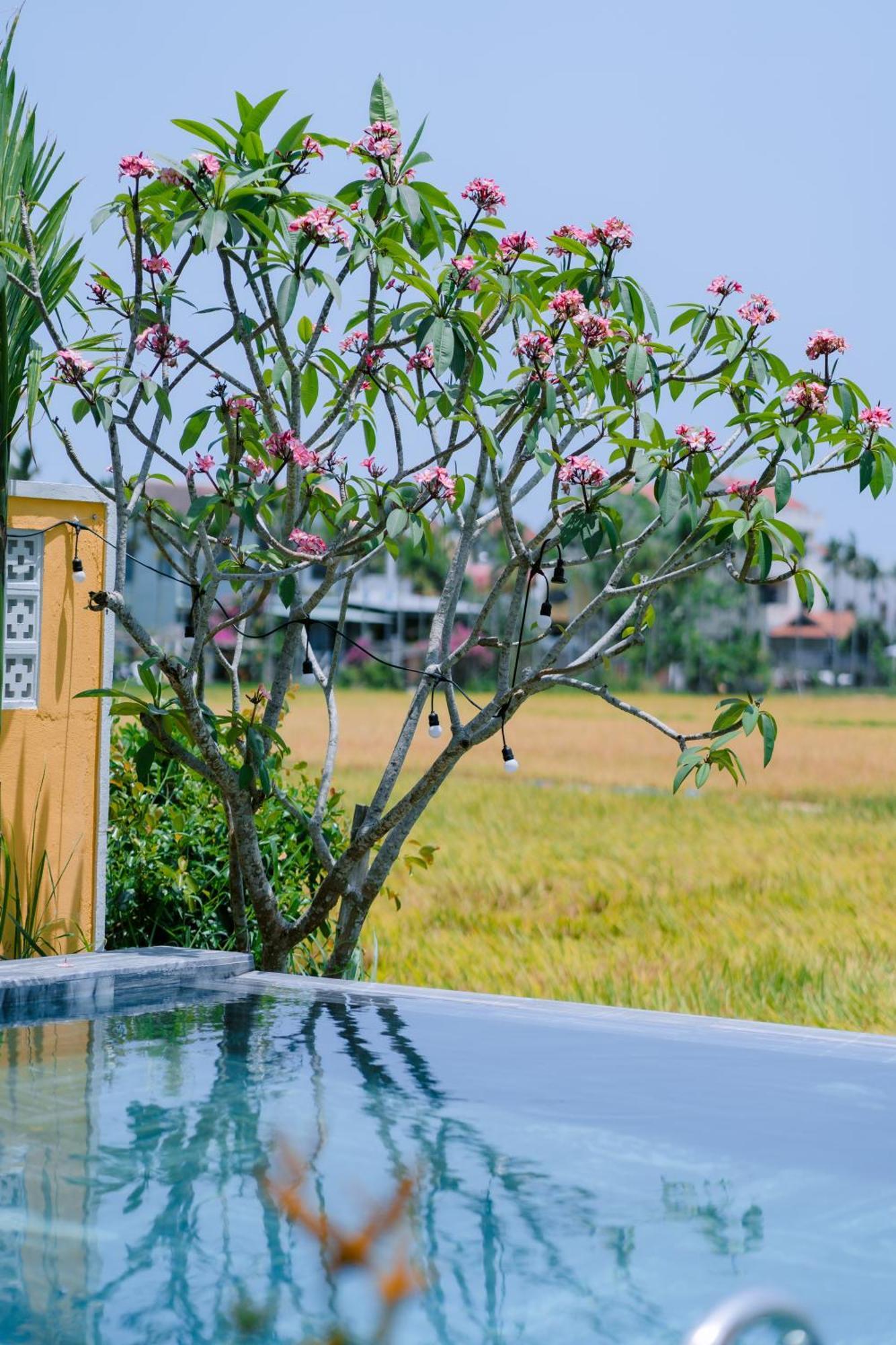 Bs Jade Home Hội An Buitenkant foto